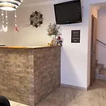 Lion 3*