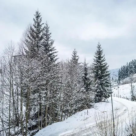Lion Bukovel