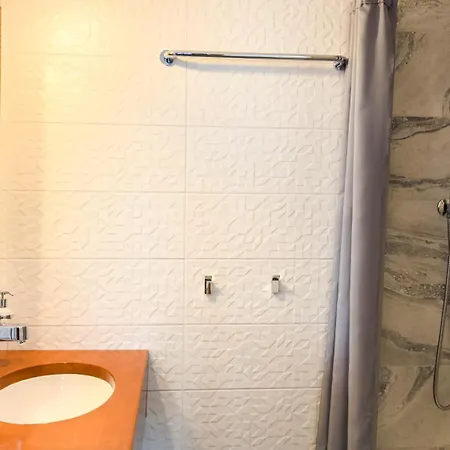 Lion Guest house *