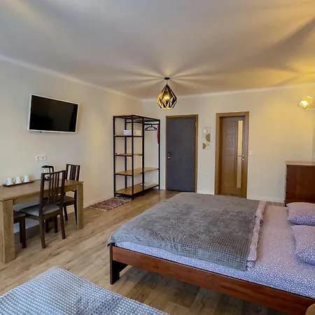 Lion Guest house *