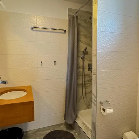 Lion Guest house
