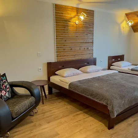 Lion Guest house *