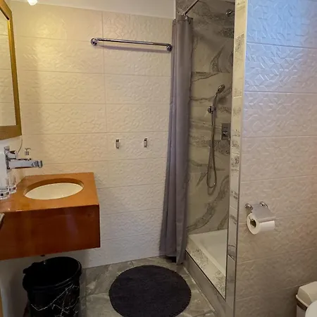 Lion Guest house