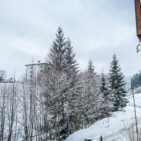 Maison d'hôtes Lion