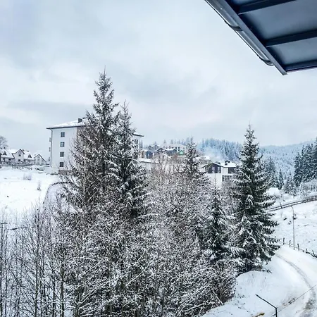 Guest house Lion Bukovel