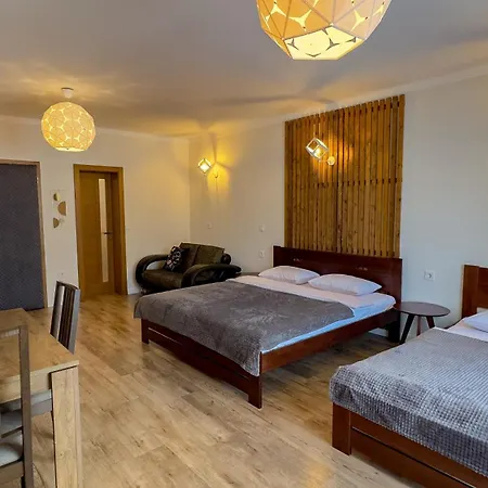 Lion Guest house Bukovel